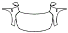 2024 Kia Seltos S Full Hood, Fender and Mirror Kit - PPF
