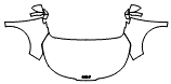 2023 Kia Carnival EX Full Hood, Fender and Mirror Kit - PPF