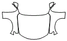 2022 Alfa Romeo Giulia Sprint Full Hood, Fender and Mirror Kit - PPF