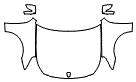 2012 Hyundai Equus Full Hood, Fender and Mirror Kit - PPF