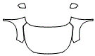 2025 Hyundai Venue (Canada) Essential Full Hood, Fender and Mirror Kit - PPF