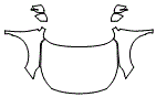 2021 Subaru Legacy Premium Full Hood, Fender and Mirror Kit