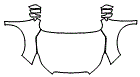 2015 Subaru Forester Full Hood, Fender and Mirror Kit - PPF