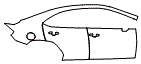 2024 Subaru WRX Door and Rear Fender Kit - PPF