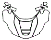 2016 Ferrari LaFerrari Full Hood, Fender and Mirror Kit - PPF