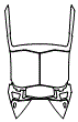 2022 Lamborghini Aventador Roof Kit - PPF