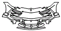 2023 Lamborghini Urus Base Bumper Kit - PPF