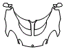 2005 Lotus Elise Full Hood and Mirror Kit - PPF