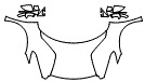 2024 Lotus Emira Full Hood, Fender and Mirror Kit - PPF