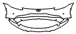 2022 Aston Martin Vantage Roadster V8 Bumper Kit - PPF