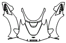 2024 Aston Martin Valkyrie Full Hood and Fender Kit - PPF