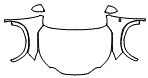 2023 Lexus NX  F Sport Full Hood, Fender and Mirror Kit - PPF
