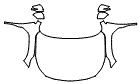 2025 Subaru Outback Full Hood, Fender and Mirror Kit - PPF