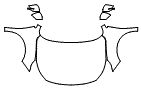 2024 Subaru Legacy Full Hood, Fender and Mirror Kit - PPF