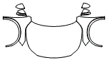 2025 Lexus RX  Base Full Hood, Fender and Mirror Kit - PPF