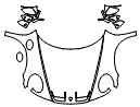 2023 Porsche 911 (992) Full Hood, Fender and Mirror Kit - PPF