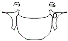 2025 Ford Escape Full Hood, Fender and Mirror Kit - PPF