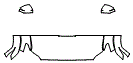 2024 Toyota Tacoma TRD Pro Hood, Fender and Mirror Kit - PPF