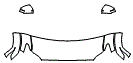 2025 Toyota Tacoma Hood, Fender and Mirror Kit - PPF