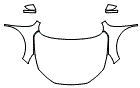 2024 Ford Escape Platinum Full Hood, Fender and Mirror Kit - PPF
