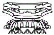 2023 Lamborghini Huracan Sterrato Rear Bumper Kit - PPF