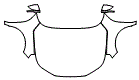 2024 Honda Accord Hybrid Full Hood, Fender and Mirror Kit - PPF