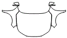 2023 Honda Accord Hybrid Full Hood, Fender and Mirror Kit - PPF