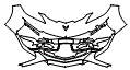 2024 Chevrolet Corvette  Convertible Bumper Kit - PPF