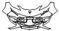 2025 Chevrolet Corvette Bumper Kit - PPF