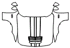 2024 Ford Mustang  GT Full Hood, Fender and Mirror Kit - PPF