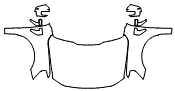 2021 Ford F-150 Full Hood, Fender and Mirror Kit - PPF