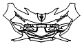 2025 Chevrolet Corvette Bumper Kit - PPF