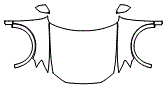 2025 Audi Q8 Full Hood, Fender and Mirror Kit - PPF
