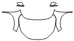 2024 Nissan Rogue S Full Hood, Fender and Mirror Kit - PPF