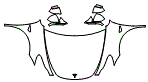2025 Tesla Model Y Performance All-Wheel Drive Full Hood, Fender and Mirror Kit - PPF
