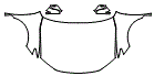 2025 Toyota Camry LE Full Hood, Fender and Mirror Kit