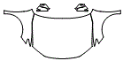 2025 Toyota Camry Full Hood, Fender and Mirror Kit - PPF
