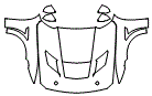 2024 Ford Mustang  Shelby Super Snake Full Hood, Fender and Mirror Kit - PPF