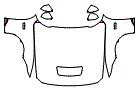 2025 Ford Mustang Full Hood, Fender and Mirror Kit - PPF