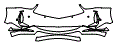2025 Acura RDX Platinum Elite A-Spec Bumper Kit - PPF