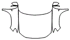 2024 Volkswagen Atlas (Canada) Full Hood, Fender and Mirror Kit - PPF