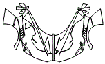 2025 Bugatti Bolide Full Hood, Fender and Mirror Kit - PPF
