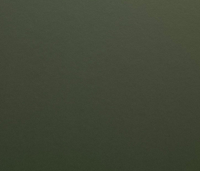 Avery Dennison SW900 Olive Green Matte Vinyl Wrap | SW900-732-O