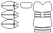 2026 FERRARI ROMA SPIDER