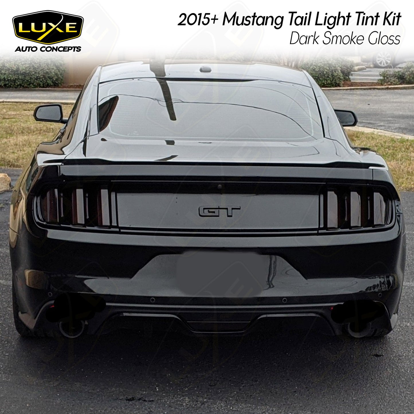 2015-17 Mustang/Shelby Tail Light Tint Kit