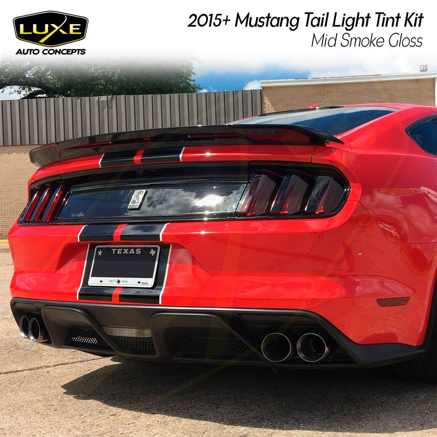 2015-17 Mustang/Shelby Tail Light Tint Kit