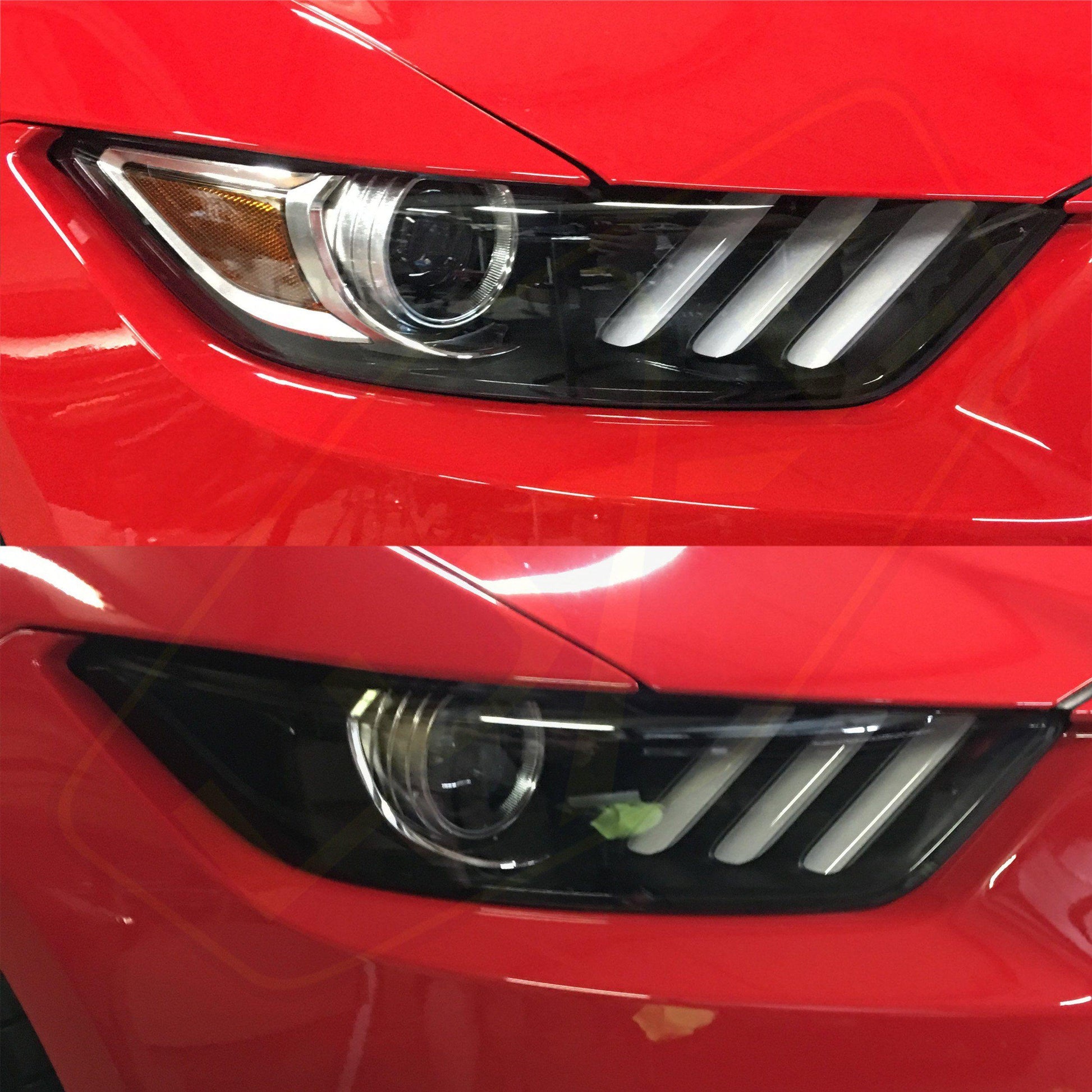 2015-17 Mustang Headlight Reflector Tint Kit - Luxe Auto Concepts