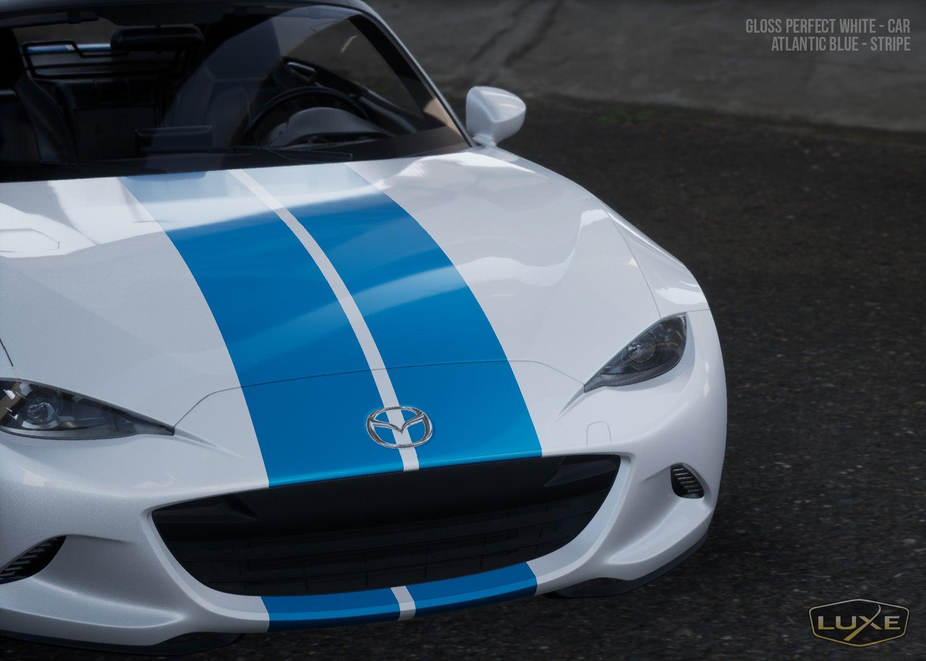 Small Vehicle Stripe Kit - Dual 10