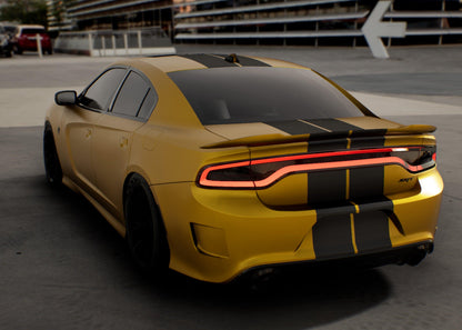 Standard Vehicle Stripe Kit - Dual 10" - Luxe Auto Concepts