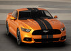 Standard Vehicle Stripe Kit - Dual 10" - Luxe Auto Concepts